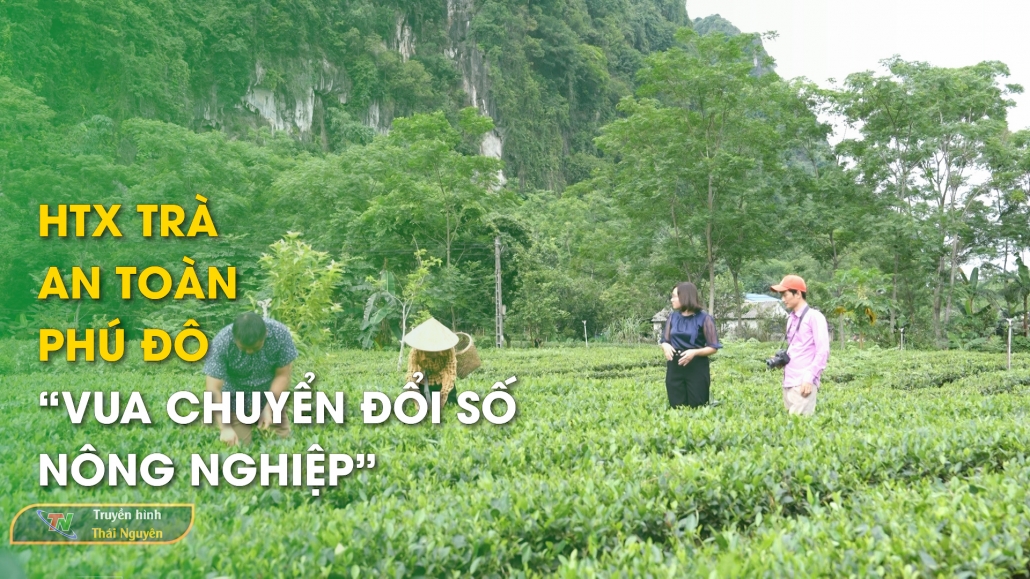 HTX trà an toàn Phú Đô – “Vua chuyển đổi số nông nghiệp”