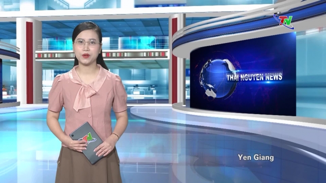 Thai Nguyen News 11/6/2024