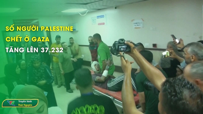 Số người Palestine chết ở Gaza tăng lên 37.232