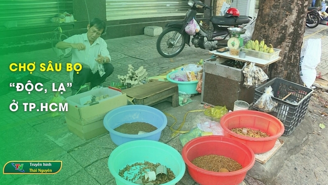 Chợ sâu bọ “độc, lạ” ở TP.HCM