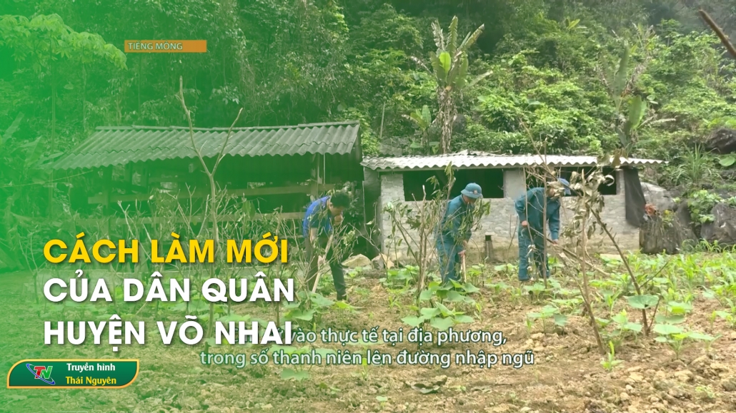 Improving living quality in ethnic minority areas in Pho Yen city - Thai Nguyen New
