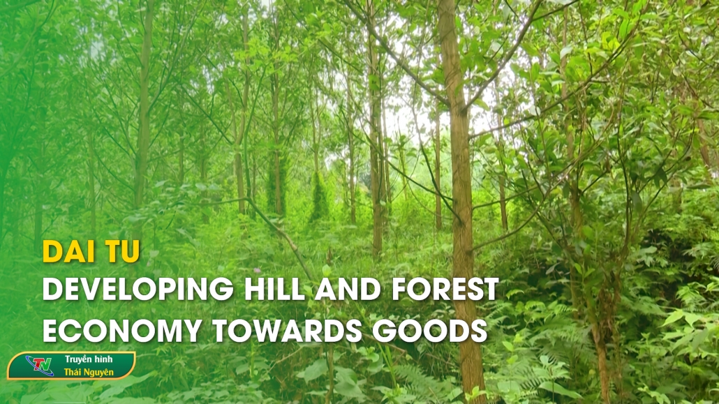Dai Tu: Developing hill and forest economy towards goods – Thai Nguyen News 27/6/2024