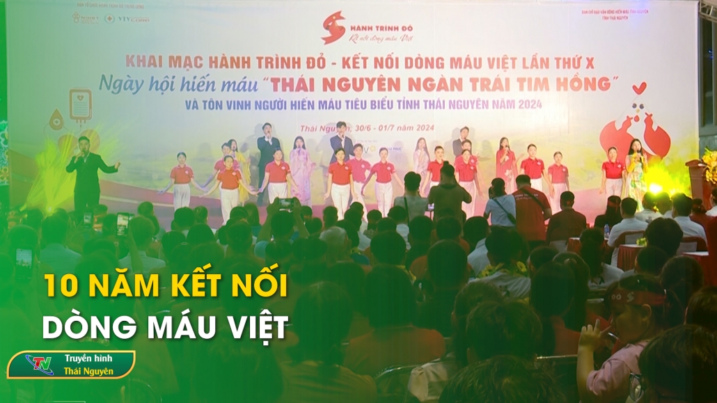 10 năm kết nối dòng máu Việt