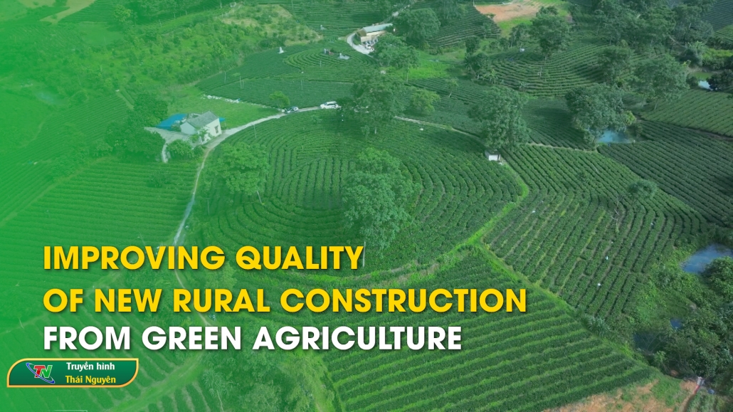Improving quality of new rural construction from green agriculture – Thai Nguyen News