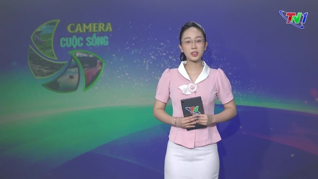 Bản tin Camera cuộc sống ngày 11/07/2024