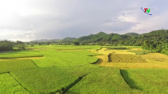 Dinh Hoa district eligible to recognized as meeting new rural standards in 2023