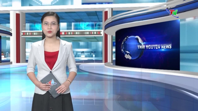 Thai Nguyen News 11/7/2024