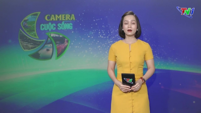 Bản tin Camera cuộc sống ngày 16/7/2024