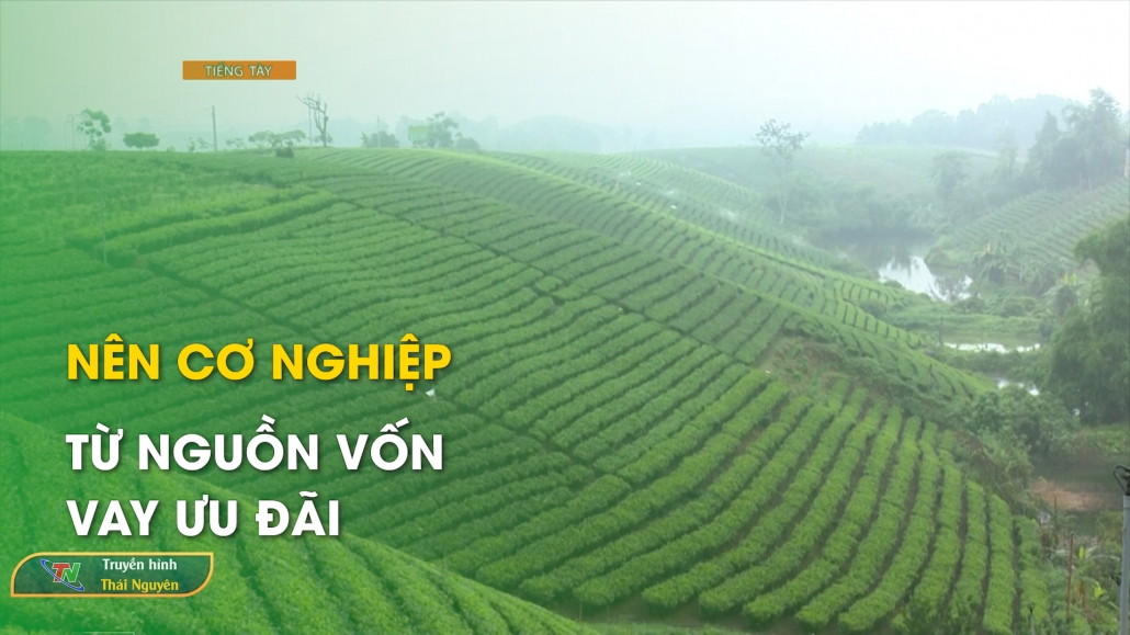 Nên cơ nghiệp từ nguồn vốn vay ưu đãi – Chương trình tiếng Tày 18/7/2024