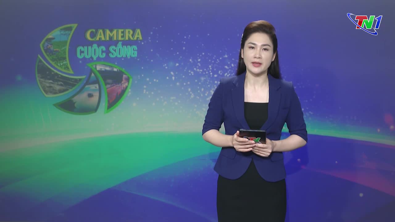 Bản tin Camera cuộc sống ngày 24/7/2024