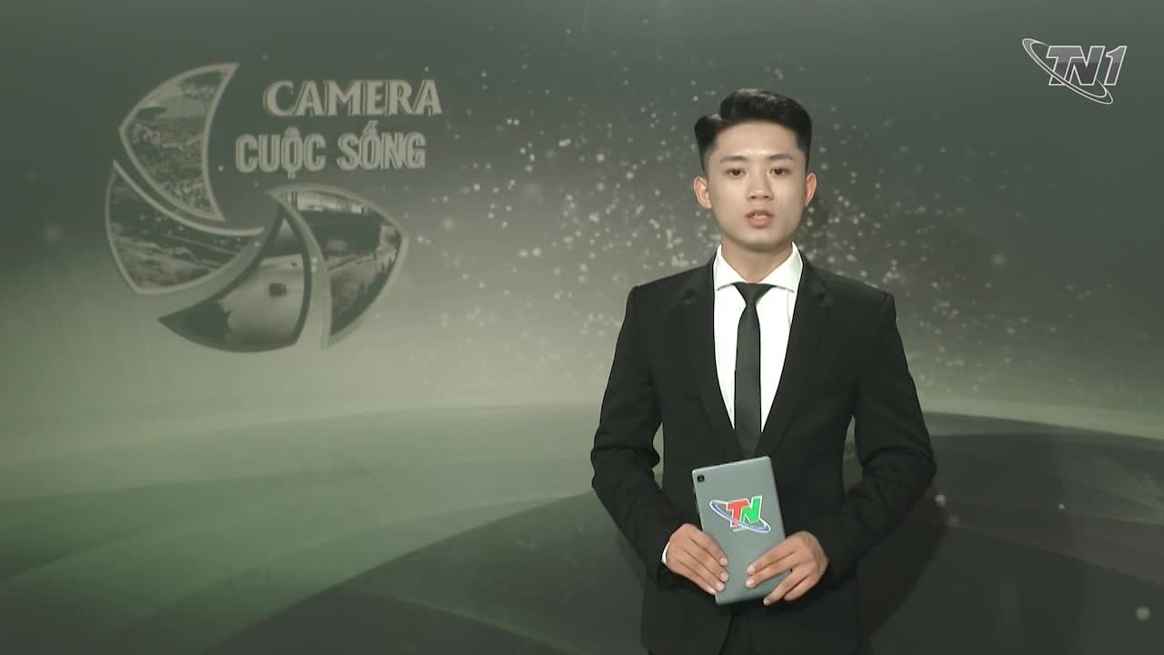 Bản tin Camera cuộc sống ngày 25/7/2024