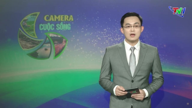 Bản tin Camera cuộc sống ngày 27/7/2024