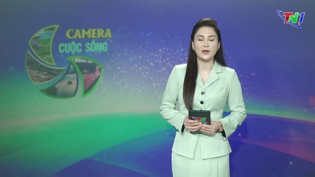 Bản tin Camera cuộc sống ngày 28/7/2024