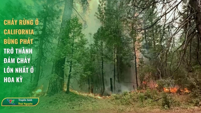 Cháy rừng ở California bùng phát, trở thành đám cháy lớn nhất ở Hoa Kỳ