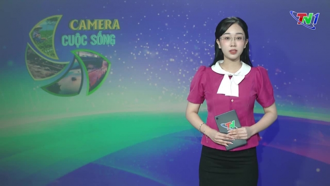 Bản tin Camera cuộc sống ngày 29/07/2024