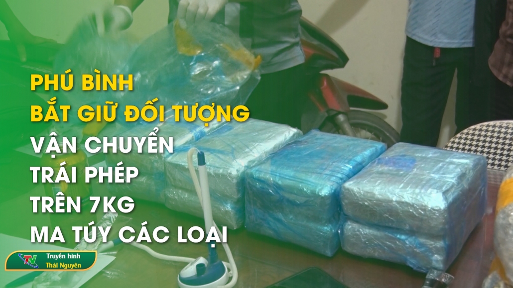 Phú Bình: Bắt giữ đối tượng vận chuyển trái phép trên 7kg ma túy các loại