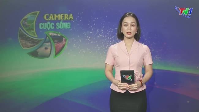 Bản tin Camera cuộc sống ngày 30/07/2024