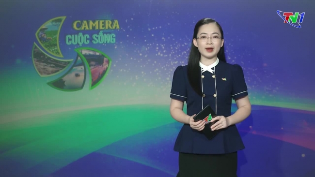 Bản tin Camera cuộc sống ngày 01/08/2024