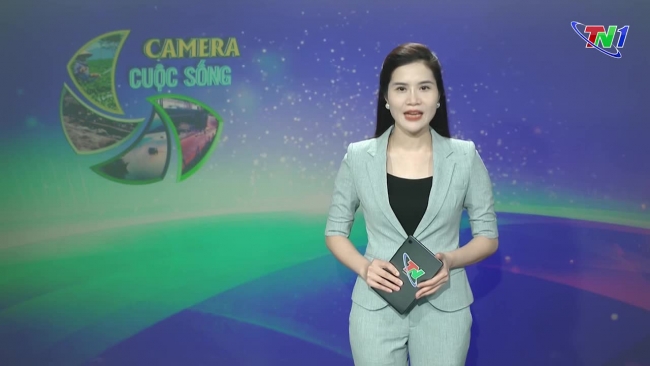 Bản tin Camera cuộc sống ngày 02/08/2024