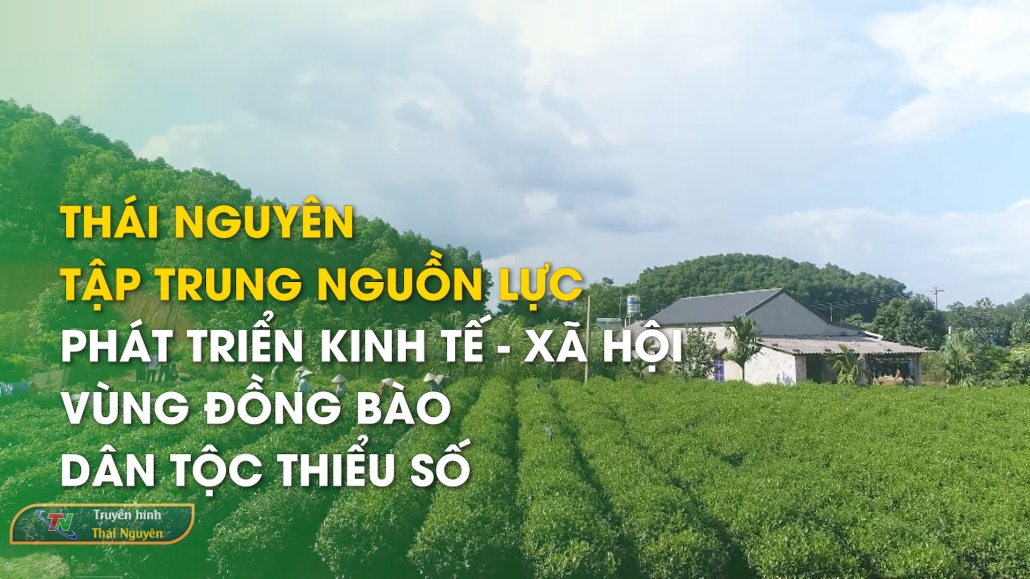 Thái Nguyên tập trung nguồn lực phát triển kinh tế - xã hội vùng đồng bào dân tộc thiểu số - DTMN