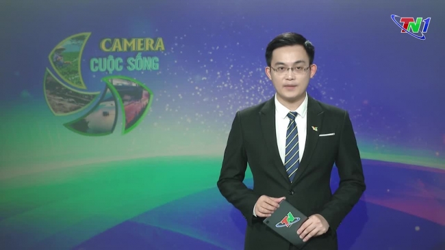 Bản tin Camera cuộc sống ngày 03/08/2024