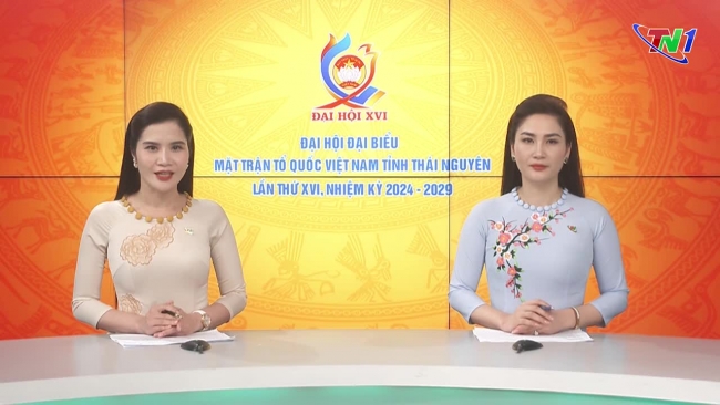 Thời Sự Thái Nguyên 5/8/2024