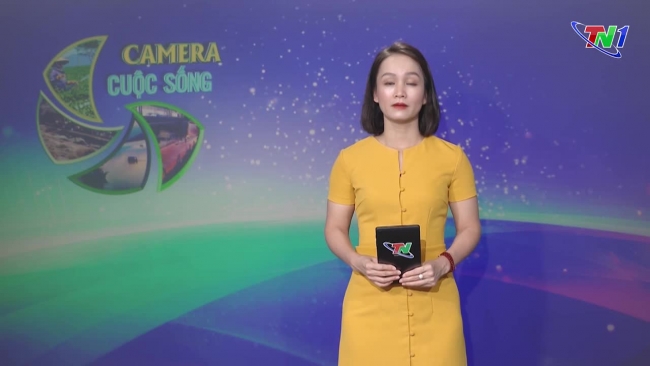 Bản tin Camera cuộc sống ngày 07/08/2024