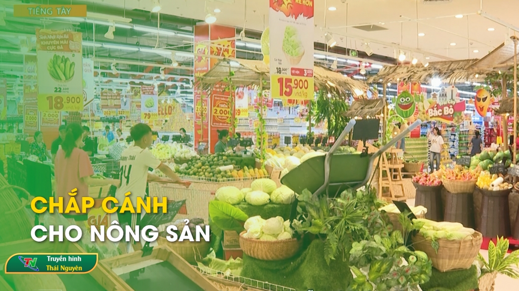 Chắp cánh cho nông sản | Chương trình Tiếng Tày – Nùng ngày 8/8/2024