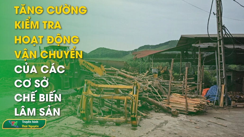 Tăng cường kiểm tra hoạt động vận chuyển của các cơ sở chế biến lâm sản | Chuyên mục Hộp thư truyền hình ngày 8/8/2024