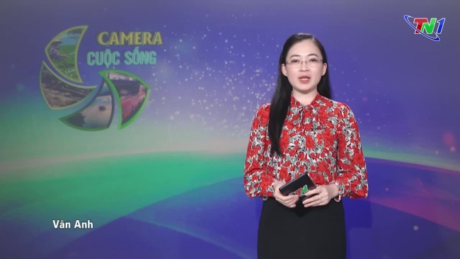 Bản tin Camera cuộc sống ngày 08/08/2024