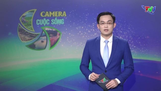 Bản tin Camera cuộc sống ngày 10/8/2024