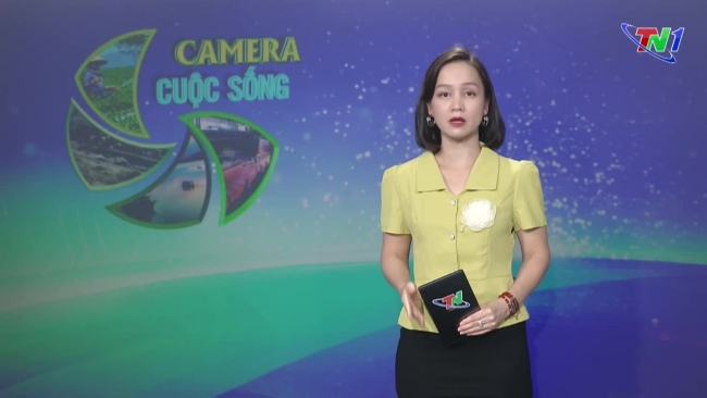 Bản tin Camera cuộc sống ngày 25/8/2024