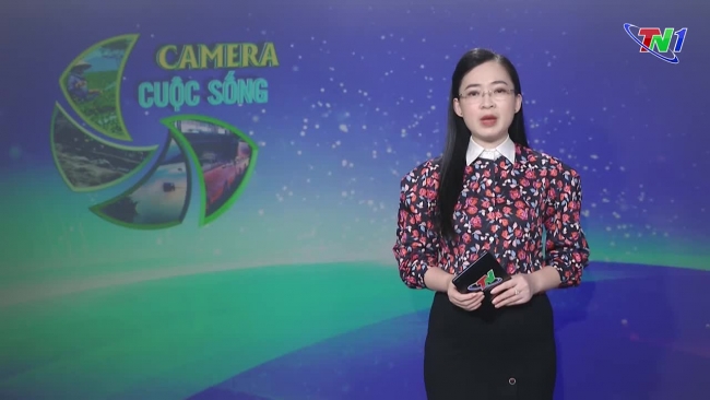 Bản tin Camera cuộc sống ngày 28/08/2024