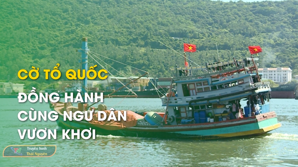 Cờ Tổ quốc đồng hành cùng ngư dân vươn khơi – Bản tin Trong nước quốc tế 2/9/2024