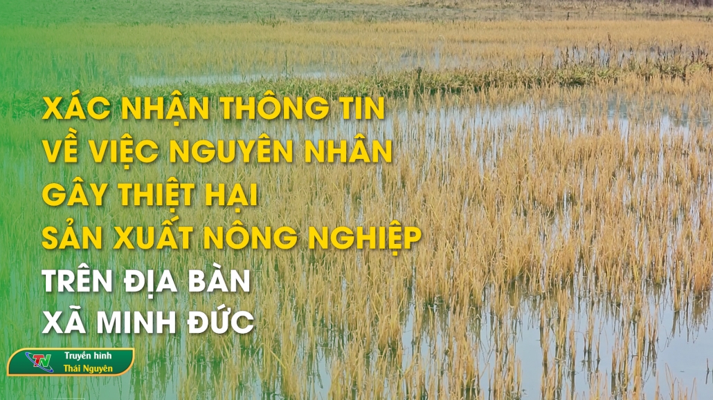 Xác nhận thông tin về việc nguyên nhân gây thiệt hại sản xuất nông nghiệp trên địa bàn xã Minh Đức