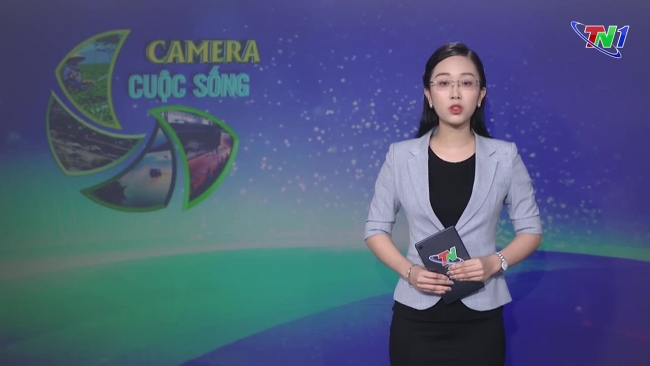 Bản tin Camera cuộc sống ngày 11/09/2024