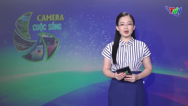 Bản tin Camera cuộc sống ngày 14/9/2024