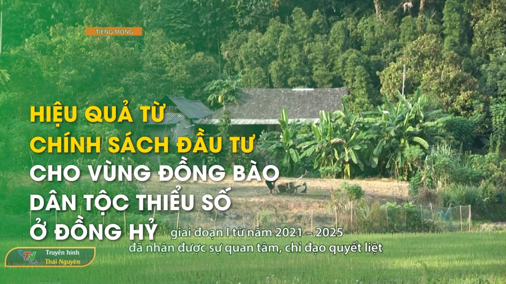 Hiệu quả từ chính sách đầu tư cho vùng đồng bào dân tộc thiểu số ở Đồng Hỷ - Truyền hình tiếng Mông