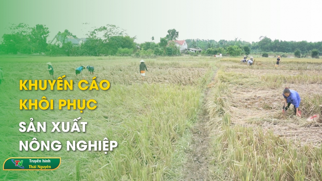 Khuyến cáo khôi phục sản xuất nông nghiệp