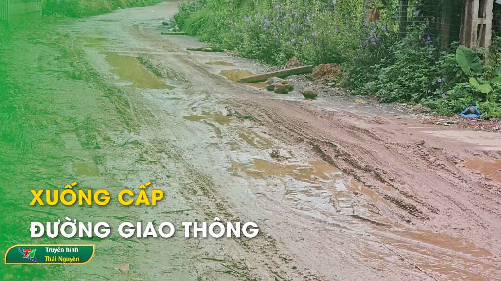 Xuống cấp đường giao thông