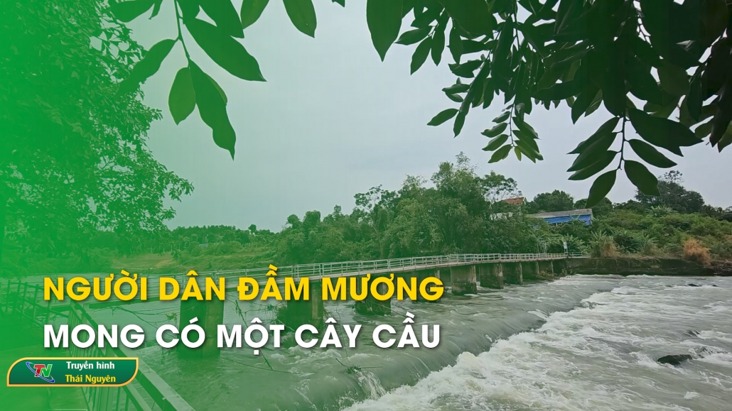 Người dân Đầm Mương mong có một cây cầu