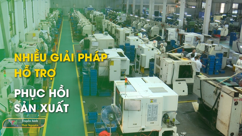 Nhiều giải pháp hỗ trợ phục hồi sản xuất