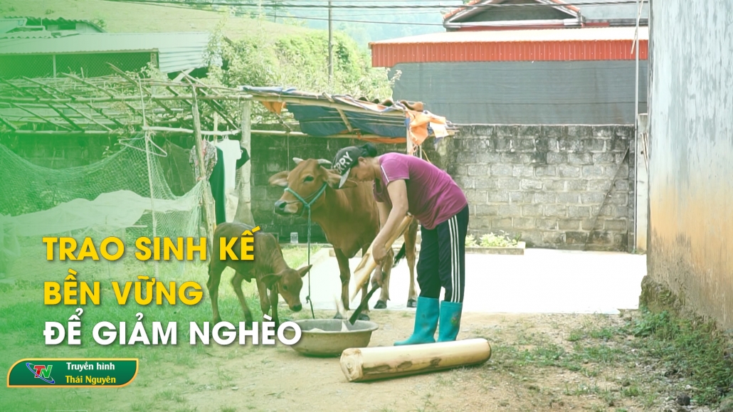 Trao sinh kế bền vững để giảm nghèo