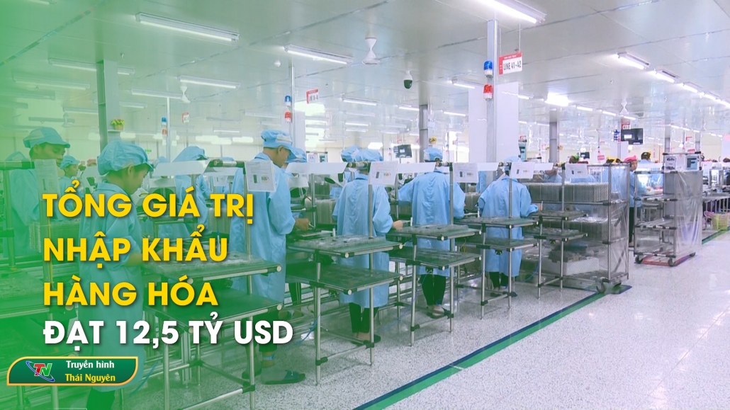 Tổng giá trị nhập khẩu hàng hóa đạt 12,5 tỷ USD