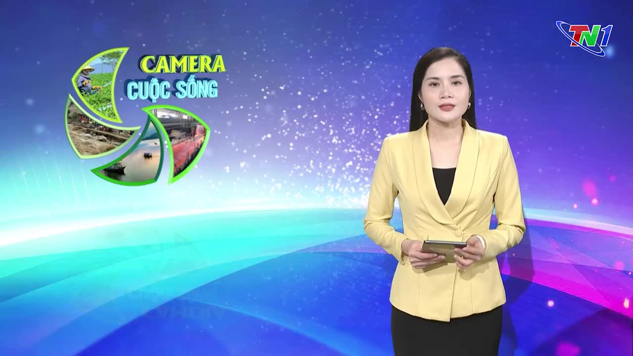 Bản tin Camera cuộc sống ngày 14/10/2024