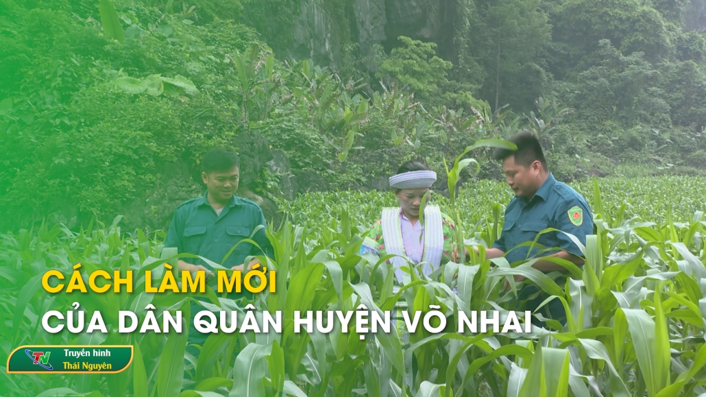 Cách làm mới của dân quân huyện Võ Nhai