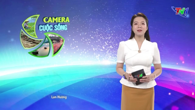 Bản tin Camera cuộc sống ngày 22/10/2024