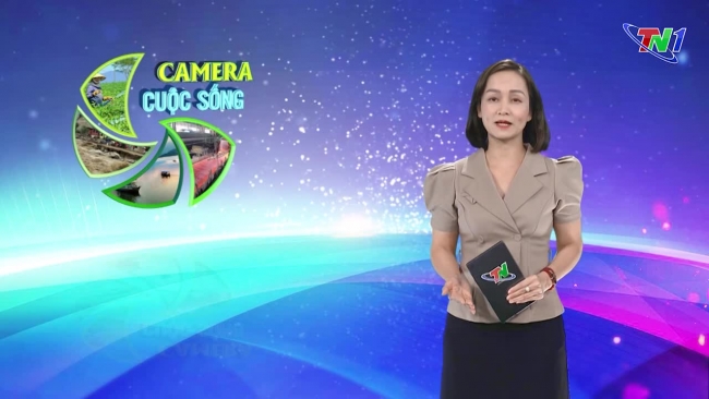 Bản tin Camera cuộc sống ngày 23/10/2024