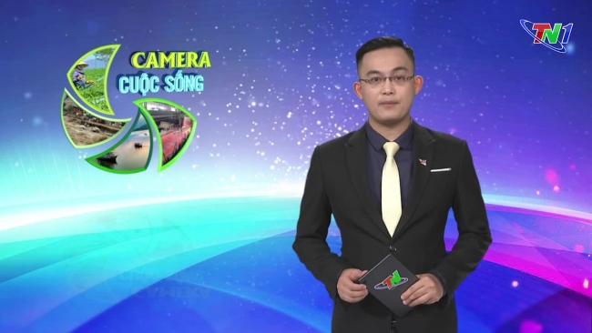 Bản tin Camera cuộc sống ngày 24/10/2024