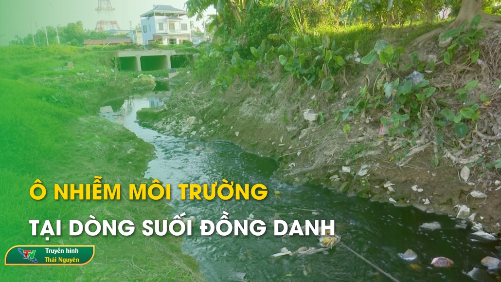 Ô nhiễm môi trường tại dòng suối Đồng Danh